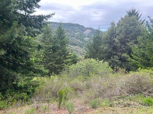 134 Muskrat Cir, Whitethorn, CA 95589