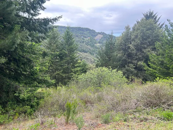 134 Muskrat Cir, Whitethorn, CA 95589