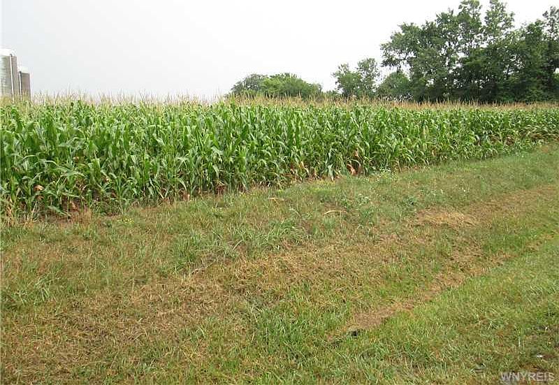 1st image of 16653 Roosevelt Hwy