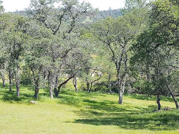 4th image of 8361 Creek Way