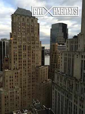 Rented by Citi Habitats | media 9