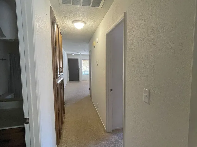 4929 Sparrow Hawk Ln — Photo 6