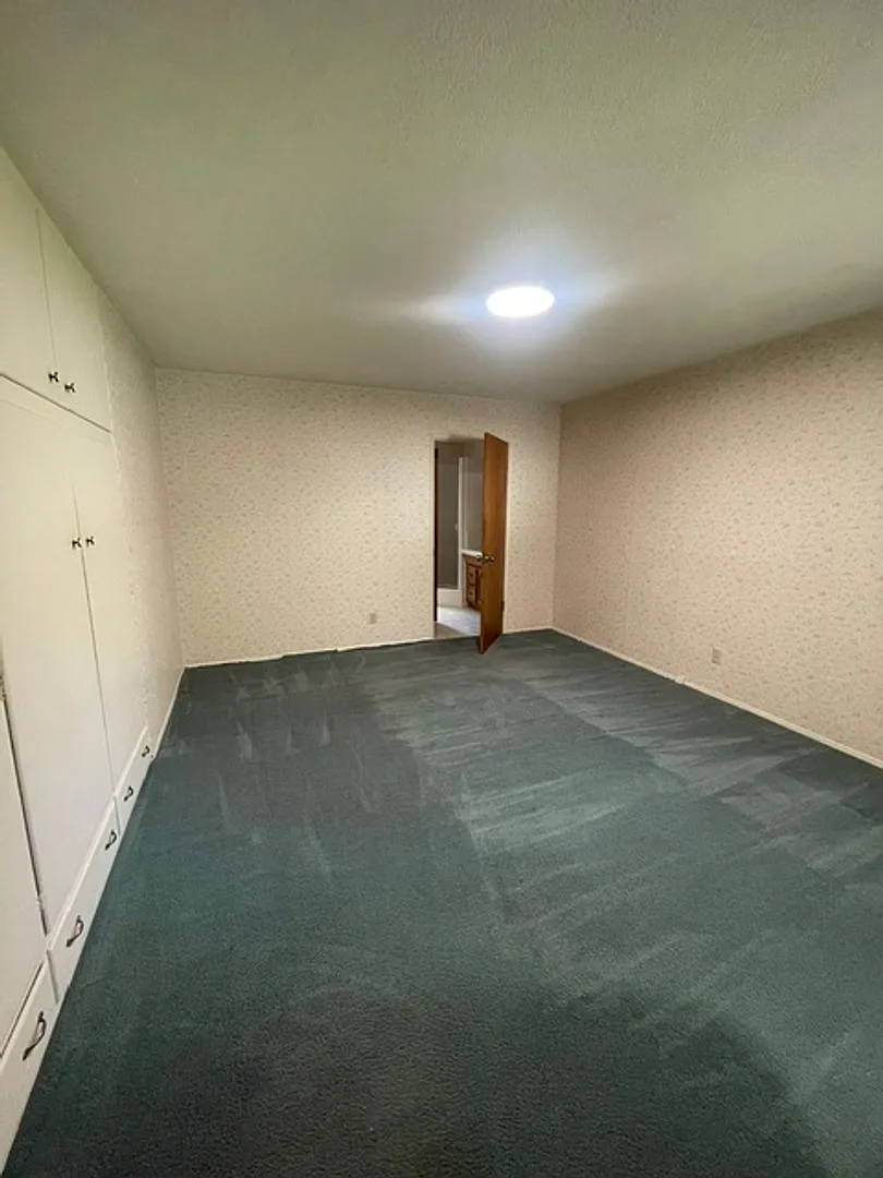 3 bed 2 bath house in the Prospect Heights Neighborhood — Photo 4