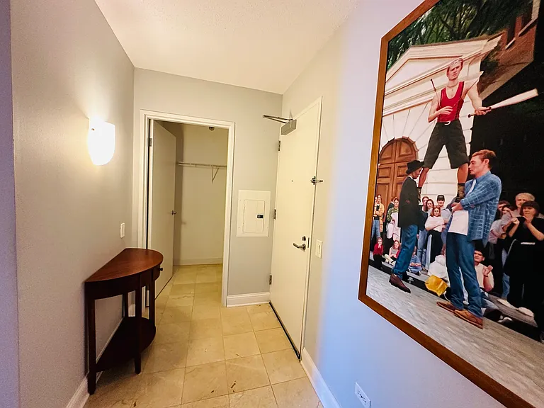 512 N McClurg Ct #3704 — Photo 19