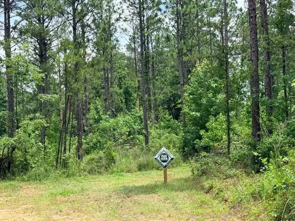 Bb Bragg Rd, York, AL 36925
