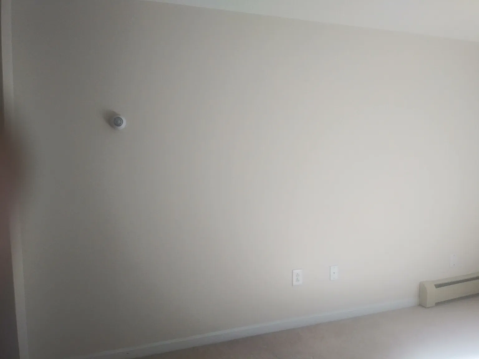 1 bed, 319 sqft, $1,200 — Photo 3