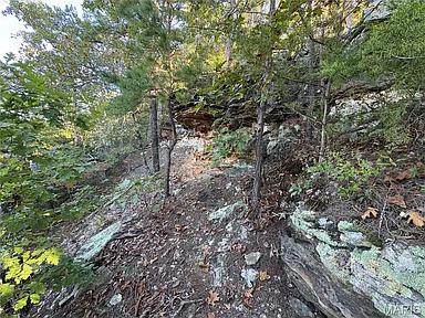 Property photo 78