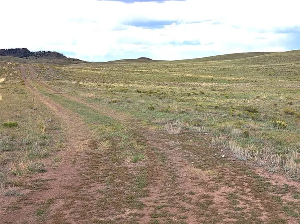 217 Black Gatto Trl, Hartsel, CO 80449