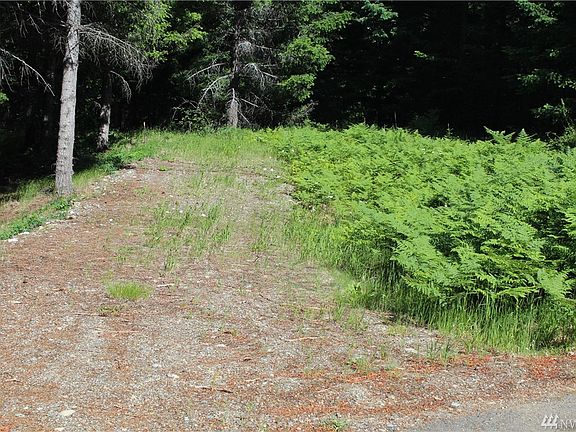 Driveway into lot
