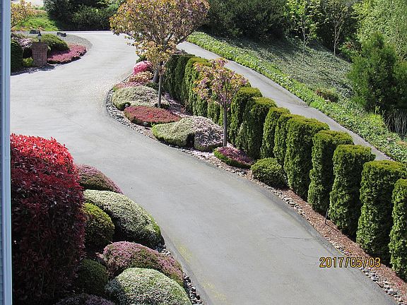  Drive Way & Plantings