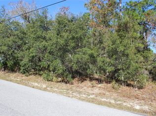 10349 Desert Sparrow Ave, Weeki Wachee, FL 34613