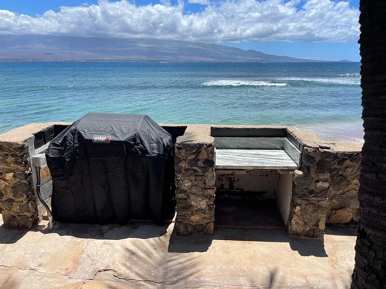4025 Maalaea Bay Pl — Photo 22