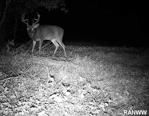 4th image of 0 E Townline Road