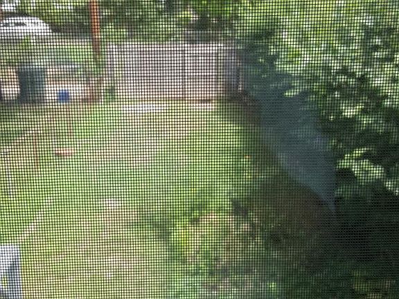 3rd image of 324 Wesmond Dr