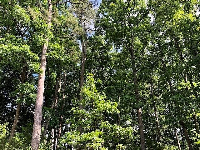 2nd image of Deer Run Ln