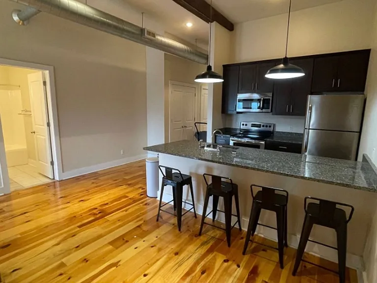 1 Bedroom 1 Bathroom Luxury Apartment in Cohoes — Photo 10