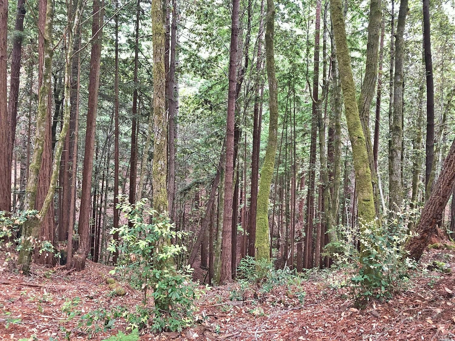 Umland Cir Jenner Ca Zillow