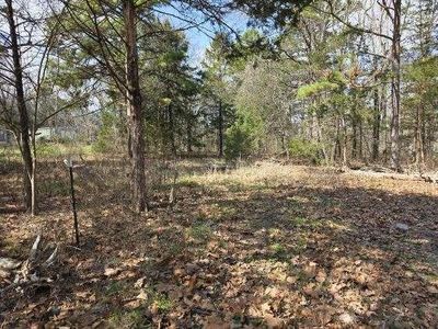 4880 Polite Rd #2, Omaha, AR, 72662