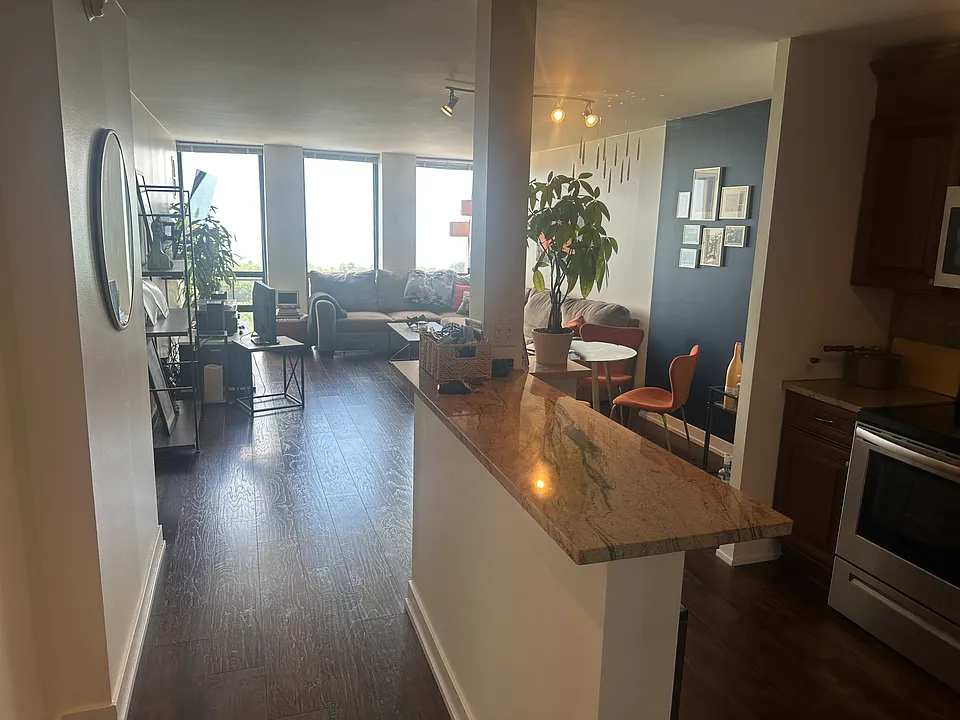 1660 N Lasalle St #2309