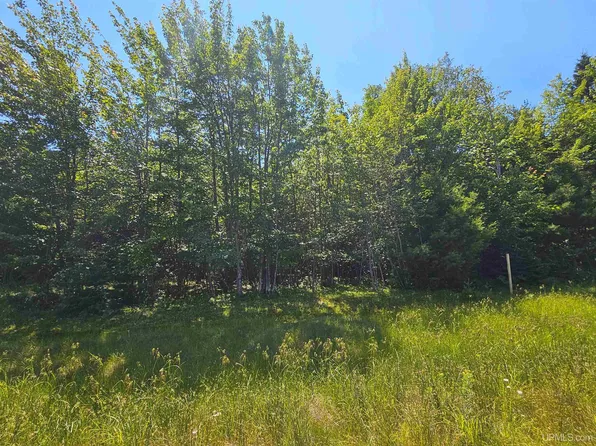 PARCEL M17 Applewood Dr, Houghton, MI 49931