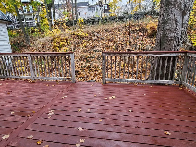 25 Exeter Rd #C — Photo 8