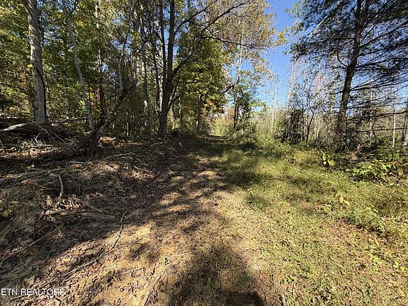 3rd image of 2697 Mount Helen Rd