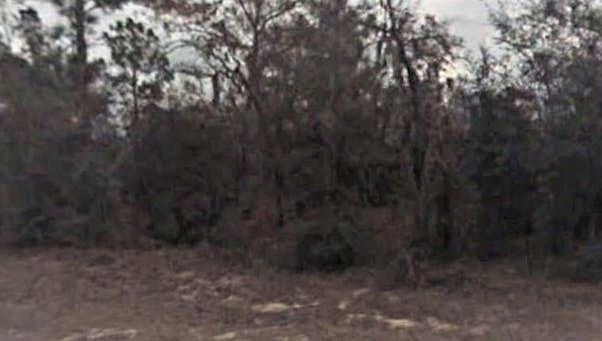 2nd image of 618 Dawn Ave