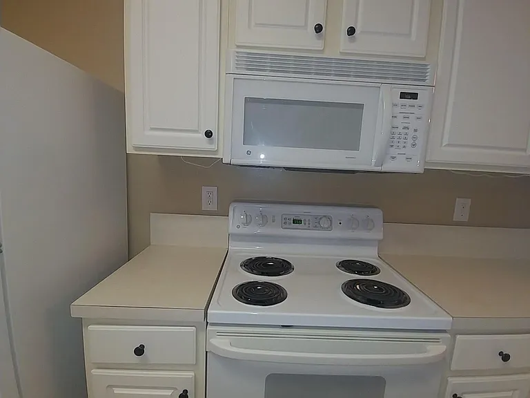 3528 Twisted Tree Ln — Photo 19