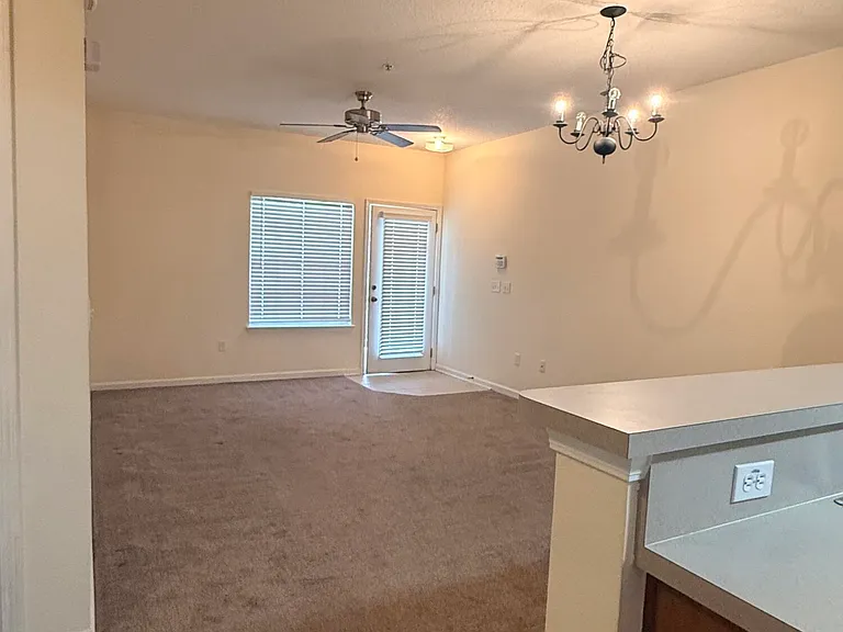 575 Oakleaf Plantation Pkwy #502 — Photo 4