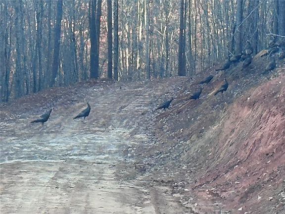 5th image of 0 Lone Bear Path #17&18