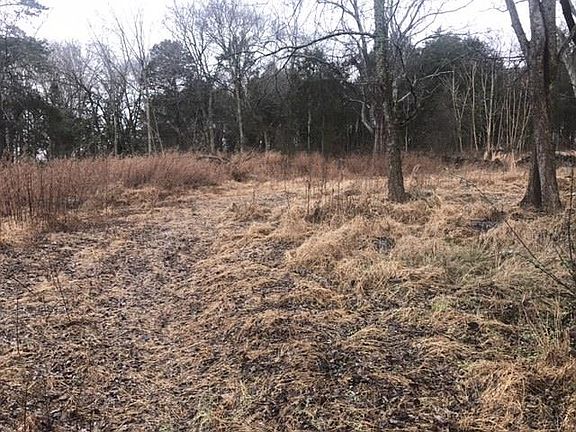5th image of 350 New Middleton Hwy