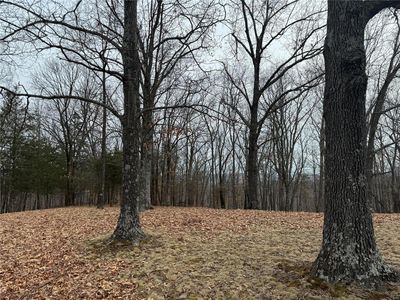 0 Terry Rd, Augusta, MO, 63332