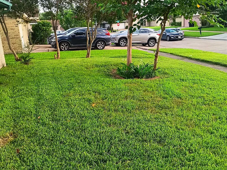 10331 Rancho Bernardo Ln — Photo 3