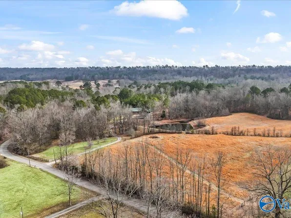 7235 Fairview Cove Rd, Altoona, AL 35952