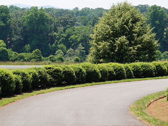 5th image of Blandemar Dr Lot 26