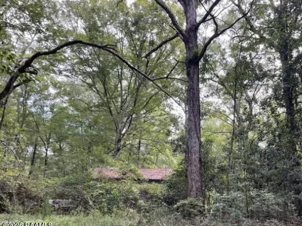 12829 Oakdale Rd, Oakdale, LA 71463