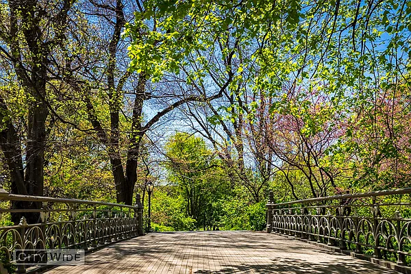 Rented by City Wide Apartments | media 10