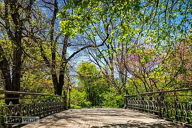 Rented by City Wide Apartments