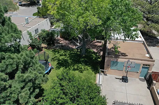 Aerial View (Backyard)
