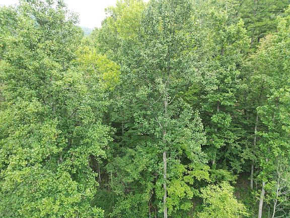 3rd image of 1531 Easter Hollow Rd