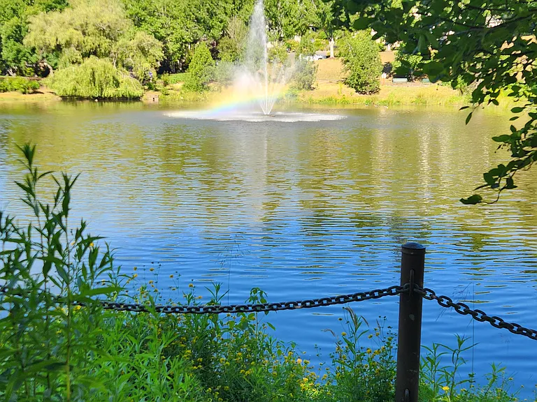 Mill Pond Park