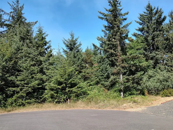 621 Arcadia Court NE, Ocean Shores, WA 98569