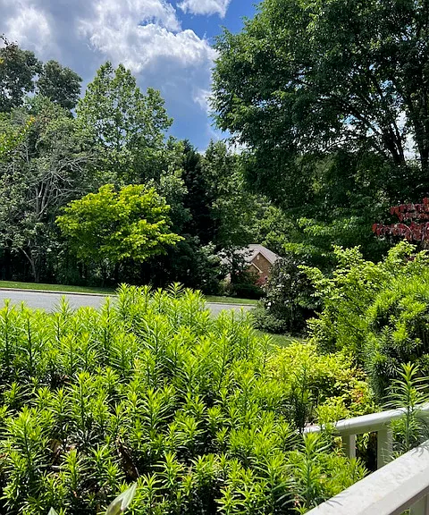 3609 Ridgecroft Dr — Photo 22