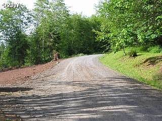 4th image of 150 Creek Woods Dr