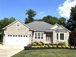 11483 Viceroy St, Concord Township, OH 44077