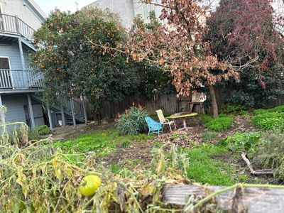920 Tomato Aly, Sacramento, CA, 95818