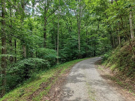 5th image of 2.33 Flat Rock Valley Rd
