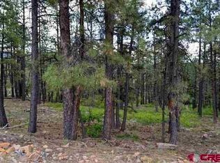 264 Blue Ridge Cir, Bayfield, CO 81122