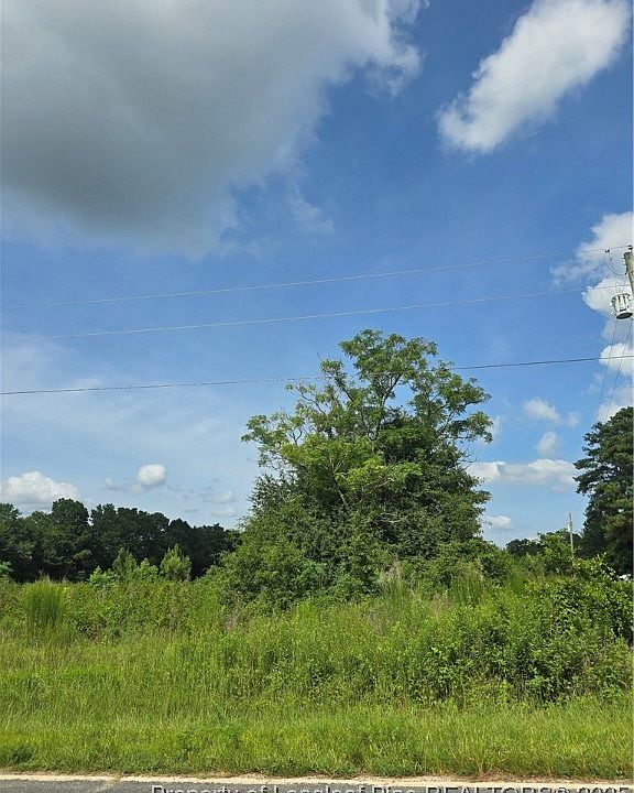 2nd image of Walter Gibson Rd