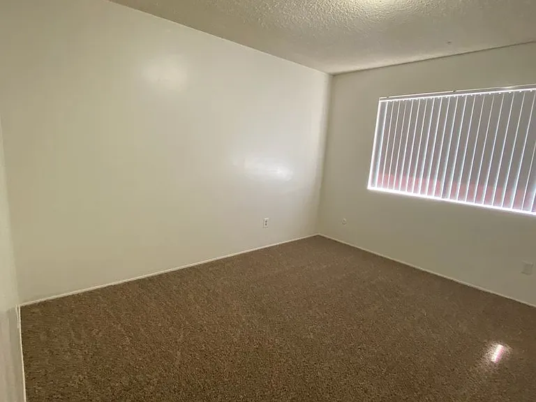 2540 Olive St — Photo 7